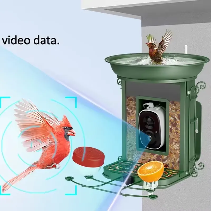 AI 카메라가 탑재된 태양광 스마트 새 모이통, 2K  - Power Tools Ai 리뷰 및 가격