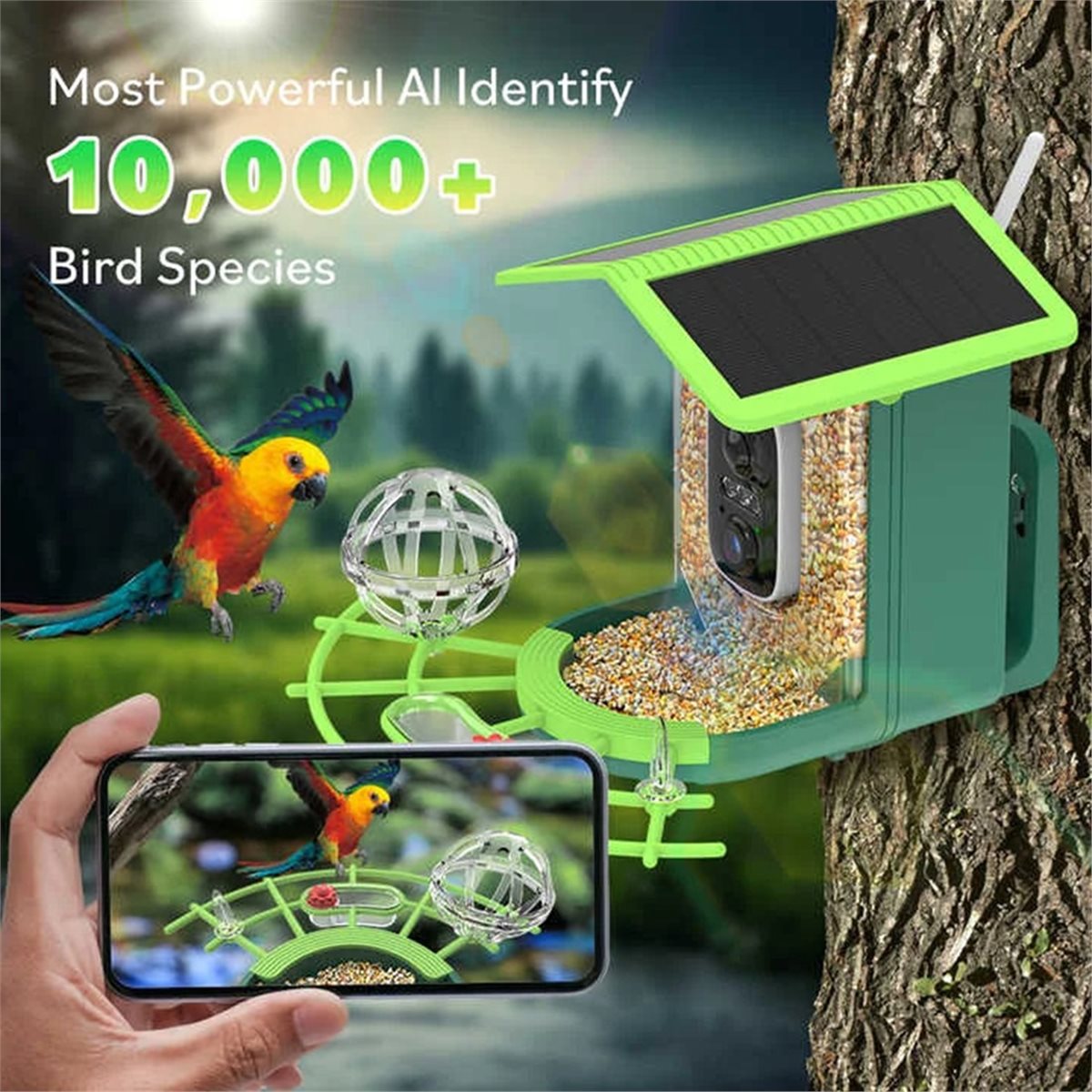 AI 종 식별 기능이 있는 ABPP 스마트 새 모이통  - Power Tools Ai 리뷰 및 가격